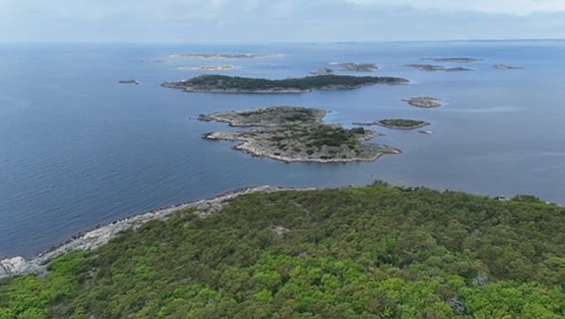Groene rotskust met eilanden in zee vanuit de lucht
